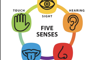 What is the 5 sense (5ST)  therapy